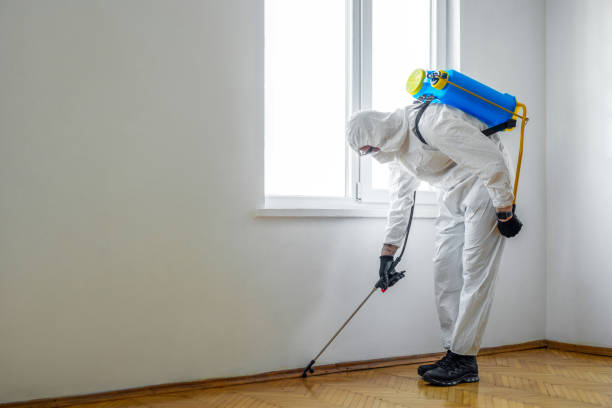 Best Bed Bug Extermination  in Zeigler, IL